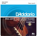 D'Addario Pro-Arte Custom Extruded Ukulele, Tenor Low G EJ65TLG [EJ65TLG] sei[ENp/[GZbgtylR|Xz