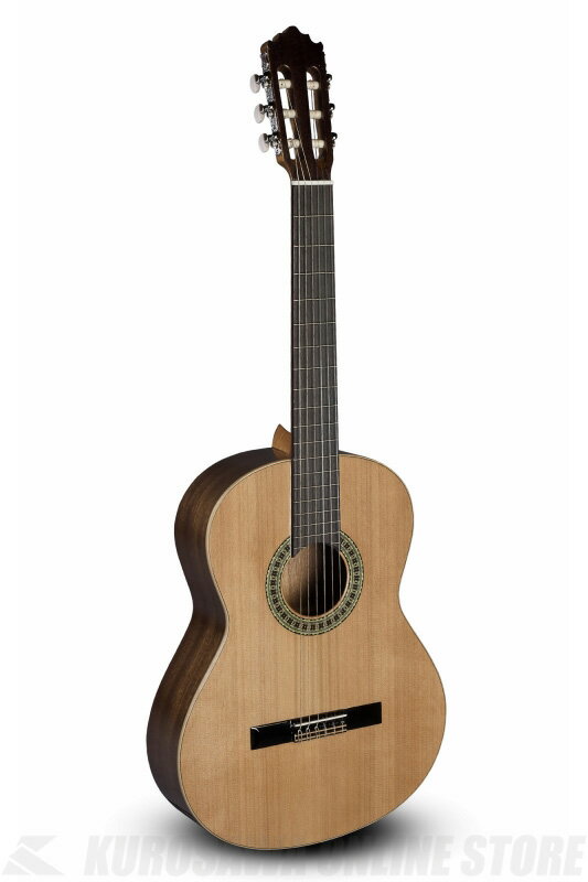 Specification Top: Solid Canadian red cedar Back and sides: Sapele Neck: African Mahogany Fingerboard: Indian Rosewood Tuners: Nickel plated Binding: European maple on top　