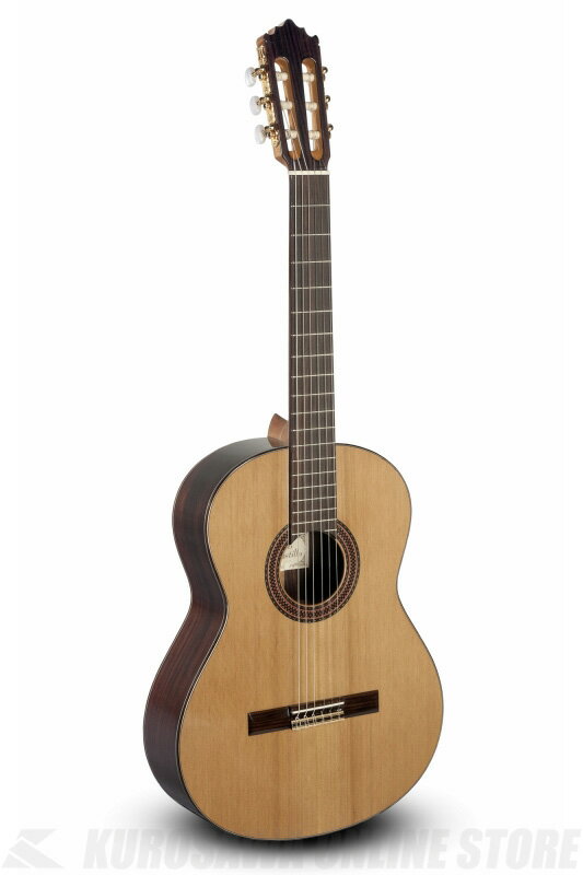 Specification Top: Solid Canadian red cedar Back and sides: Indian Rosewood Neck: African Mahogany Fingerboard: Indian Rosewood Tuners: Gold plated Binding: Indian Rosewood Finish: Gloss　