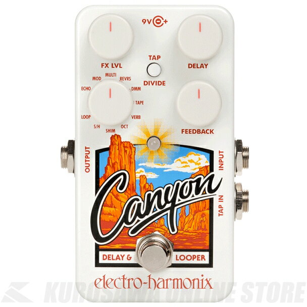 Electro-Harmonix Canyon Delay & Loopers 《エフェクター/ディレイ/ルーパー》【送料無料】