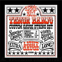 ERNIE BALL #2306 Light Loop End Stainless Steel Tenor Banjo Guitar Strings《バンジョー弦》【ネコポス】