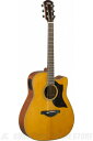 Yamaha A series Aシリーズ A1M VN ヴィンテージナチュラル (アコースティックギター/エレアコ)(送料無料)(ご予約受付中)