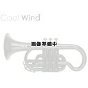 Cool Wind CR-200 GLD ゴル (プラスチック製コルネット)(送料無料)(ご予約受付 ...