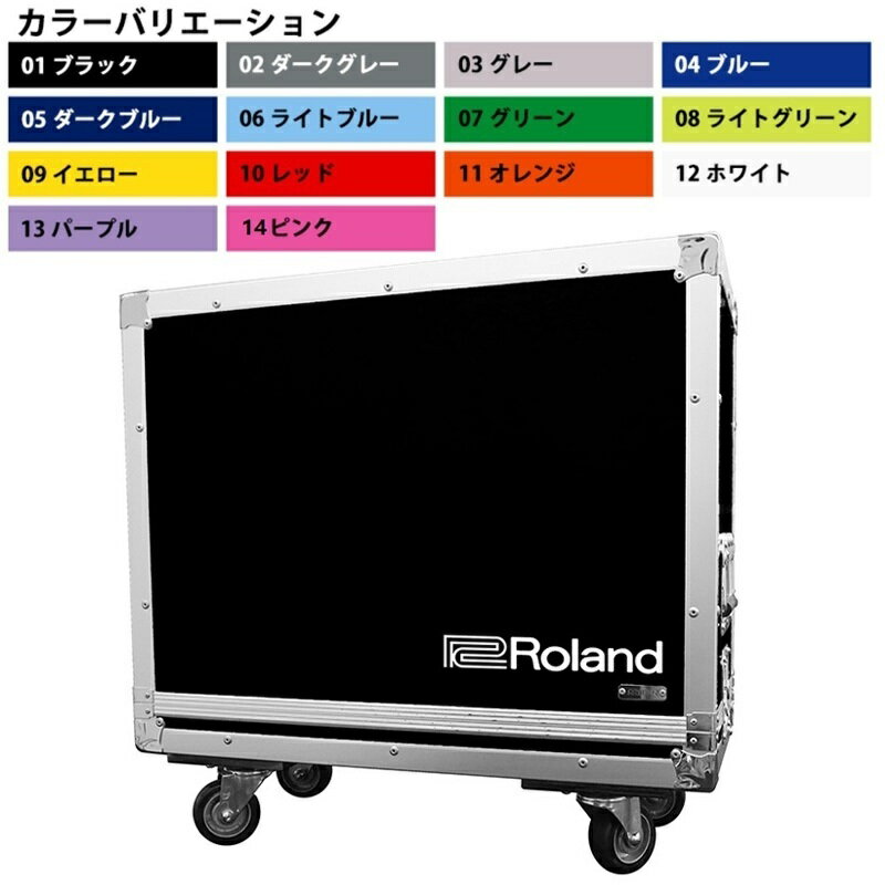 Roland TB-BCART Blues Cube Artist用ハードケース (受注生産品)(送料無料)【ロゴの有無/カラーをお選び下さい】