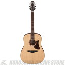 Ibanez AAD100-OPN 【スポット生産品】 【送料無料】 【高性能シールドプレゼント!】