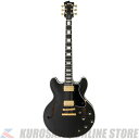 FUJIGEN(FGN) Masterfield MSA MSA-HP-C BK (Black) 【アクセサリープレゼント】(ご予約受付中)