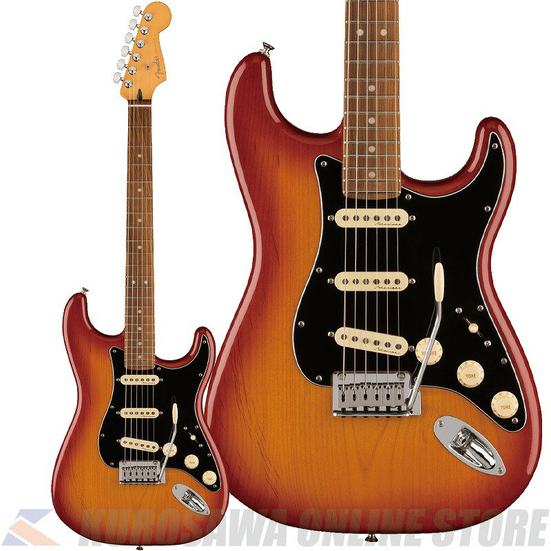 Fender Player Plus Stratocaster Pau Ferro Sienna Sunburst yP[uv[gz(\t)