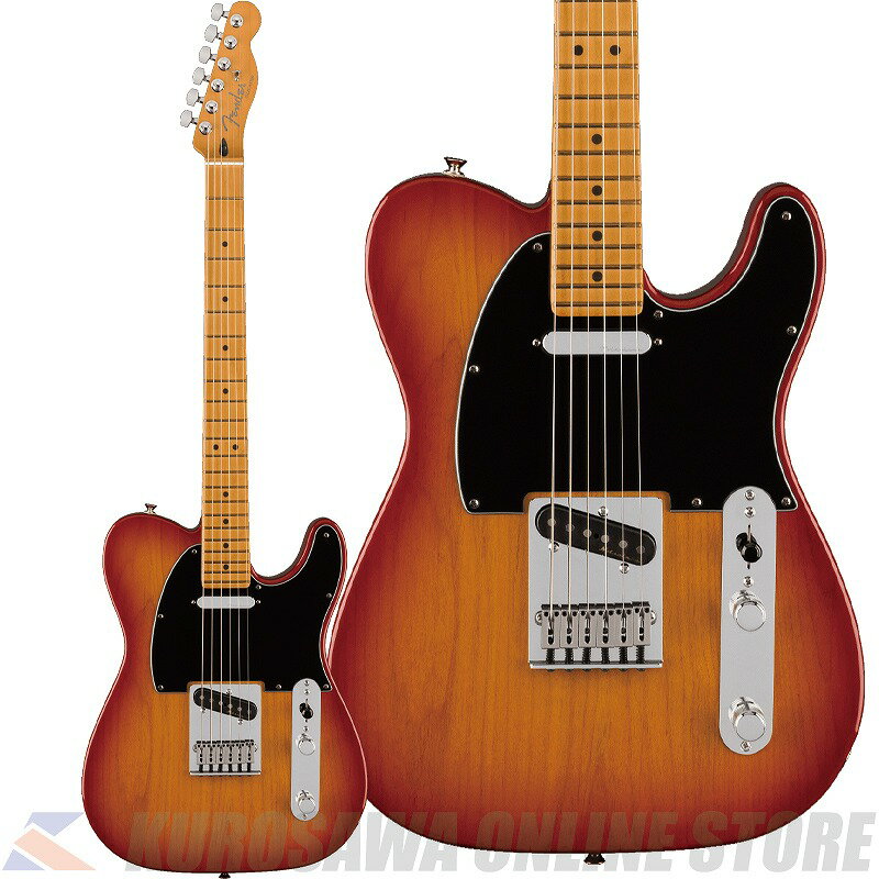 Fender Player Plus Telecaster Maple Sienna Sunburst yP[uv[gz(\t)