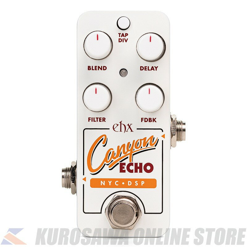 Electro-Harmonix PICO CANYON ECHO [Digital Delay](ご予約受付中)