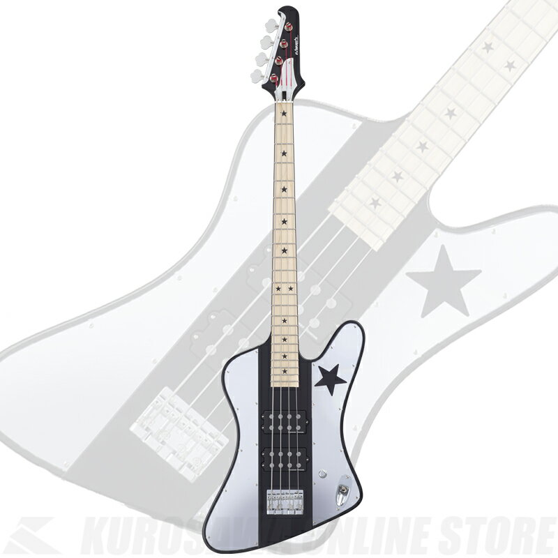 EDWARDS E-STAR BIRD-III [SHINGO☆ Model]【送料無料】