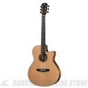 Morris SC-61 HAND MADE PREMIUM (お取り寄せ)