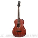 Morris Y-023 MH PERFORMERS EDITION (お取り寄せ)
