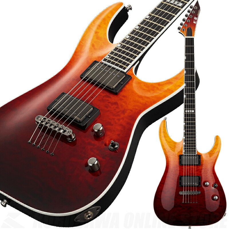 E-II HORIZON NT-II(Tiger Eye Amber Fade)ڼʡ(ͽ)