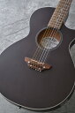 Grass Roots Acoustic Series G-AC-50N (See Thru Black Satin)yz