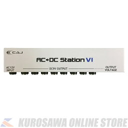 Custom Audio Japan(CAJ) AC/DC Station VI