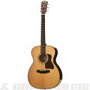 Headway HF-5080SE【送料無料】【ご予約受付中】【カポ・チューナー・クロスアコ3点セットプレゼント!】