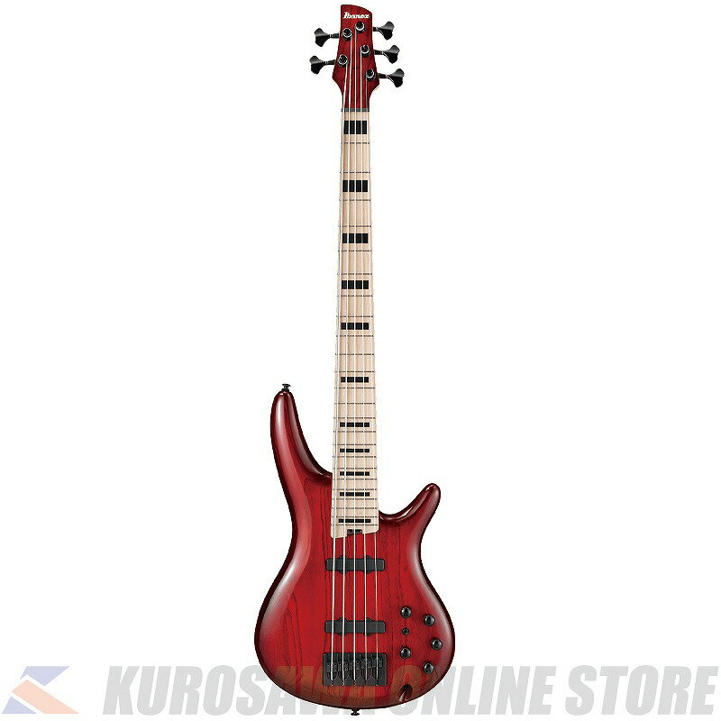 Ibanez ANB205-TWB 【送料無料】(ご予約受付中)