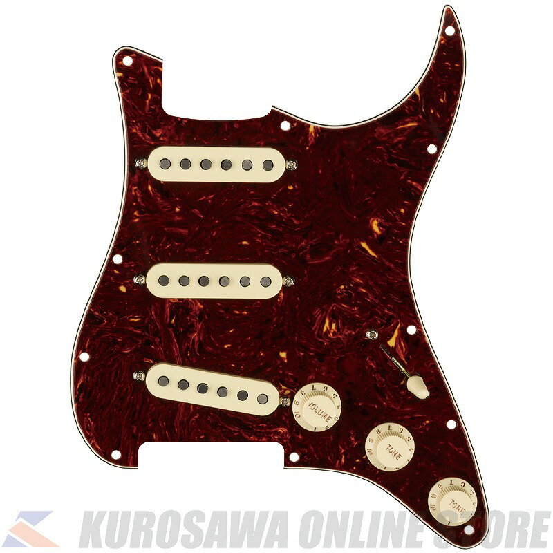 Fender Pre-Wired Strat Pickguard, Tex-Mex SSS, Tortoise Shell 11 Hole PG (ご予約受付中)