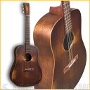 Martin D-15M SM【送料無料】 《Martin弦3セットプレゼント!》
