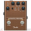 Fender Acoustic Preamp/Reverbyz(\t)