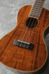 KALA Hawaiian Koa Series KA-KCG (コンサートウクレレ)(送料無料)(マンスリープレゼント)(ご予約受付中)