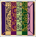 Passione pbVI[l G Kbg/Vo[