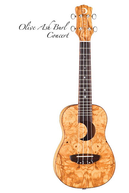 Luna Guitars Uke Concert olive ash burl crescent ԥ󥵡ȥա̵