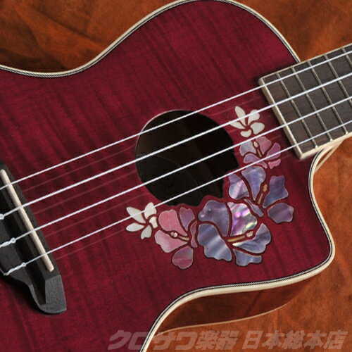 Luna Guitars   UKE FLORAL 󥵡ȡ̵