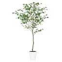 フェイクグリーン 観葉植物 フェイク 人工観葉植物 大型 光触媒 人工ドウダンツツジ FST 高さ約200cm 造花 リアル 鉢植 光触媒 CT触媒 インテリア...