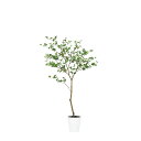 フェイクグリーン 観葉植物 フェイク 人工観葉植物 大型 光触媒 人工ドウダンツツジ FST 高さ約160cm 造花 リアル 鉢植 光触媒 CT触媒 インテリア...
