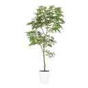フェイクグリーン 観葉植物 フェイク 人工観葉植物 大型 光触媒 人工エバーフレッシュ FST 高さ約180cm 造花 リアル 鉢植 光触媒 CT触媒 インテリ...