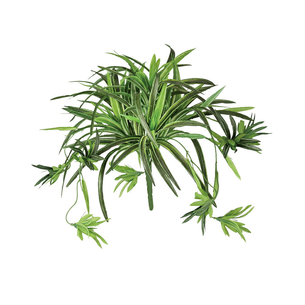 オリヅルラン フェイクグリーン 人工観葉植物 オリヅルラン G 長さ約25cm 造花 リアル 葉材 光触媒 CT触媒 インテリア ディスプレイ