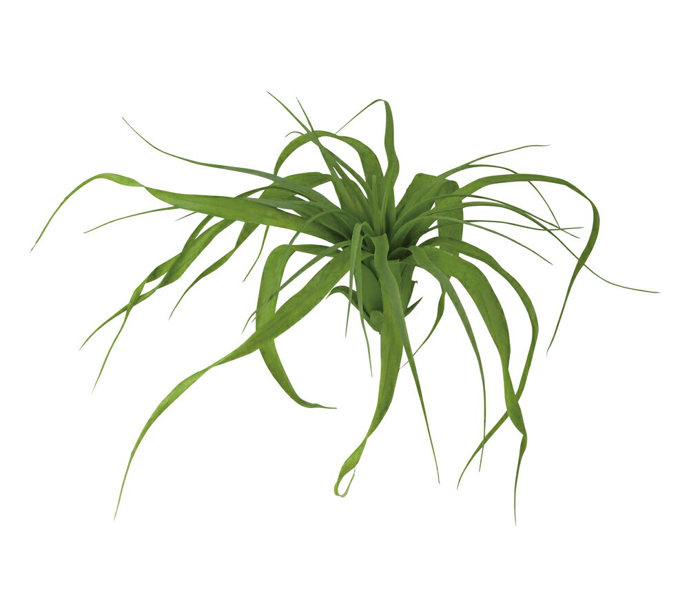 フェイクグリーン 人工観葉植物 チランジア M 長さ約28cm 造花 リアル 葉材 光触媒 CT触媒 インテリア ディスプレイ