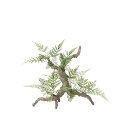 フェイクグリーン 人工観葉植物 ミックスファン スタンプウッド 高さ約40cm リアル 造花 光触媒 CT触媒 インテリア ディスプレイ