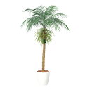 フェイクグリーン 観葉植物 フェイク 人工観葉植物 大型 光触媒 人工フェニックス・ロベレニー P 長さ約US 高さ約200〜300cm 造花 リアル 鉢植 光...