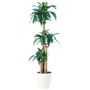 フェイクグリーン 観葉植物 フェイク 人工観葉植物 大型 光触媒 造花 大型 マッサンゲアナ 170cm 鉢植SC(CT)触媒 光触媒 インテリア お祝い 造花...