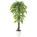 フェイクグリーン 観葉植物 フェイク 人工観葉植物 大型 光触媒 造花 大型 ベンジャミナスプラッシュリアナ 180cm 鉢植 樹木 SC/CT触媒 光触媒 イ...