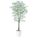 フェイクグリーン 観葉植物 フェイク 人工観葉植物 大型 光触媒 造花 大型 ベンジャミナスターライトトリプル 180cm 鉢植 樹木 SC/CT触媒 光触媒 ...