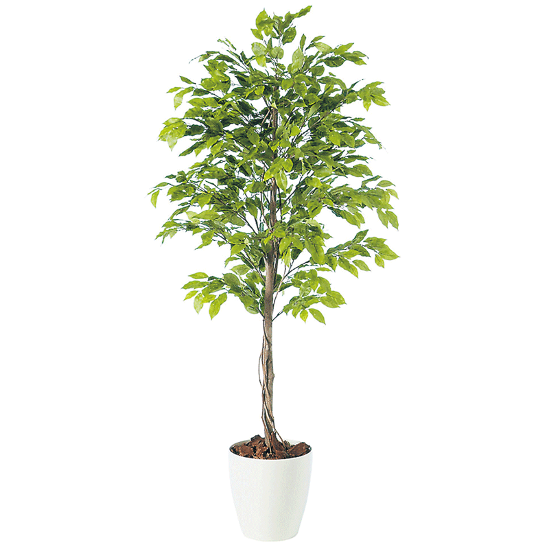 フェイクグリーン 観葉植物 フェイク 人工観葉植物 大型 光触媒 造花 大型 ベンジャミナスプラッシュ 180cm 鉢植 樹…