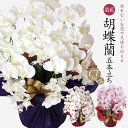 胡蝶蘭 造花 母の日 光触媒 お祝い お供え 花 開店祝い ギフト プレゼント アーティフィシャルフラワー 誕生日 ラベンダー ホワイト 白 お見舞い ピンク ...