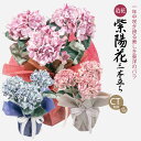 母の日 ギフト 3色から選べる 造花 アジサイ 大輪 3本立ち 紫陽花 あじさい 鉢花 CT触媒 光触媒 ハイドランジア プレゼント 誕生日 お見舞い アートフラワー [whd][md][kd]