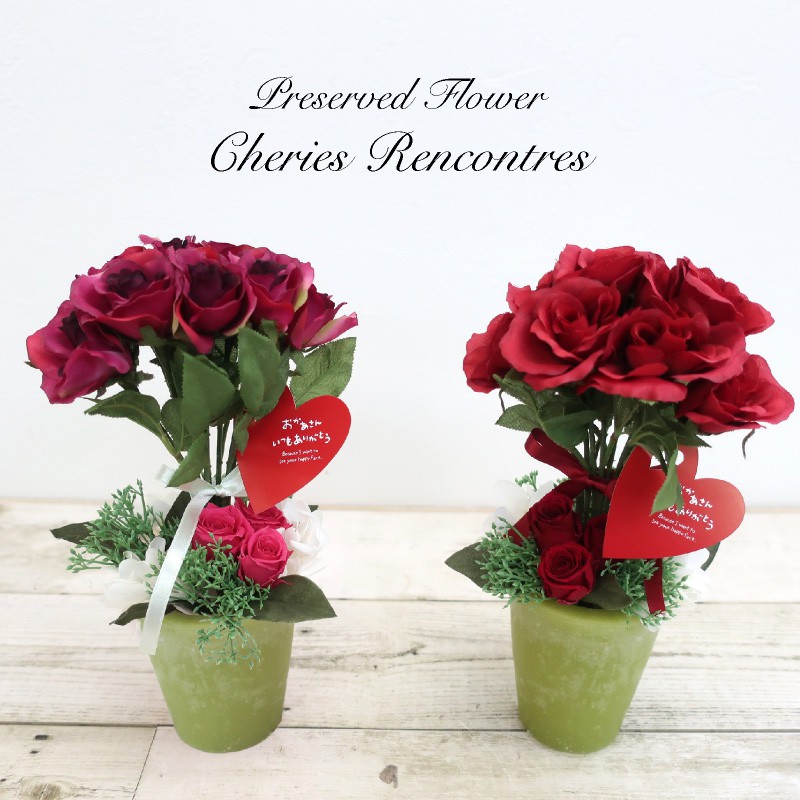 プリザーブドフラワー 造花 シェリ・ランコントル パープル/レッド プレゼント 贈り物 ギフト お祝い ..