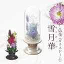 お盆 お供え プリザーブドフラワー 仏花 供花 ガラスドーム アレンジメント 御供 ギフト お悔やみ お彼岸 造花 贈り物 初盆 新盆 法要 法事 お仏壇 ドー...