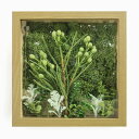 数量限定 セール 造花 ボタニカルフレーム 森 Forest アーティフィシャルフラワー 木枠 額縁 ウォールグリーン