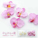 【アウトレット 訳あり】 ひとひらの蘭 花びら×15輪セット 胡蝶蘭 造花 わけあり セール インテリア ディスプレイ 装飾 数量限定 メール便 送料無料 フラ...