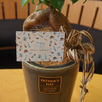 引っ越し祝い 友人に喜ばれる お手頃な観葉植物のおしゃれギフト 予算5 000円 のおすすめプレゼントランキング Ocruyo オクルヨ 引っ越し祝い 友人に喜ばれる お手頃な観葉植物のおしゃれギフト 予算5 000円 のおすすめプレゼントランキング Ocruyo オクルヨ