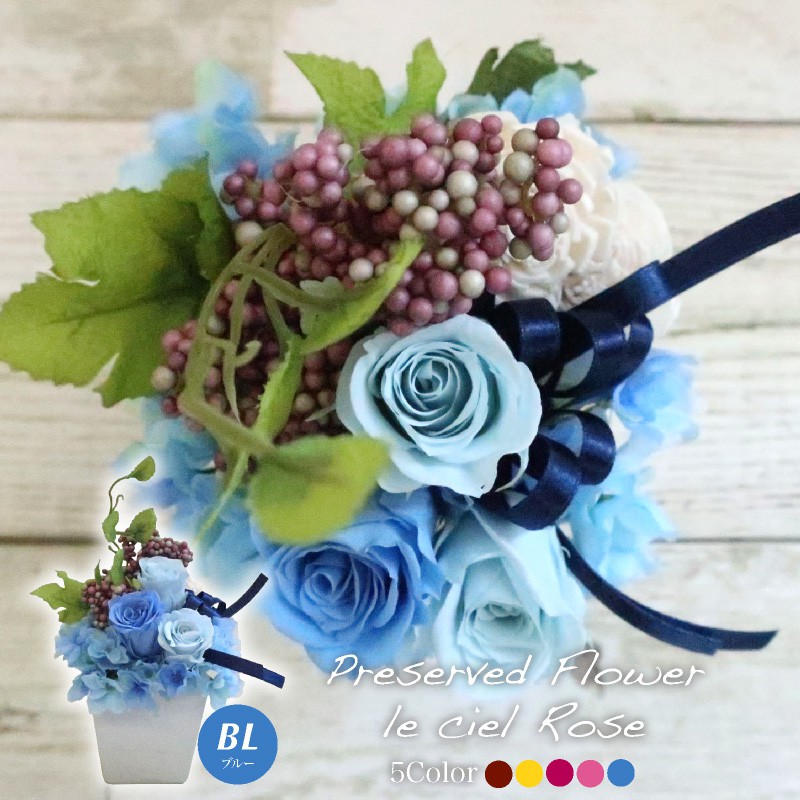 ＼10%OFFクーポンあり／ プリザーブドフラワー 花 ギフト ルシエルローズ レッド/イエロー/レッドピンク/ピンク/ブルー 鉢2色選択可 プレゼント 母の日 [whd][md][kd][rcp]