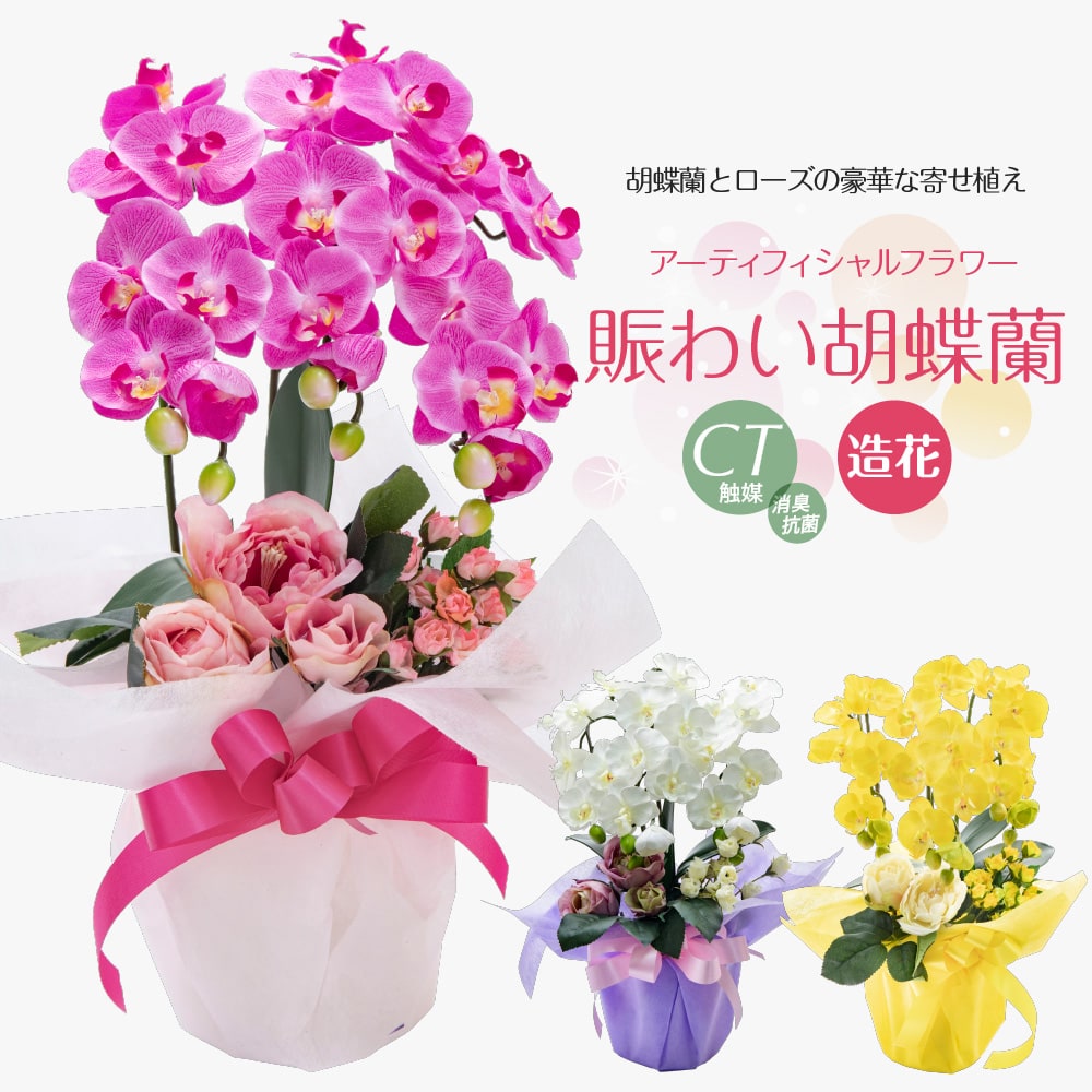 楽天市場】胡蝶蘭(造花|造花・人工観葉植物):花・観葉植物 楽天市場】胡蝶蘭(造花|造花・人工観葉植物):花・観葉植物