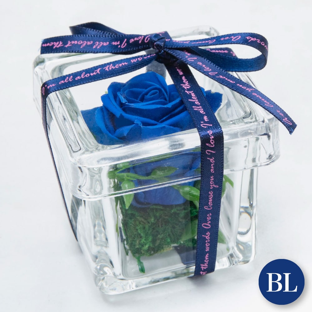 �ץꥶ���֥ɥե� �ե��ܥå��� ���ˤ� ������ �� ���ե� ¤�� ������ ����� ������� �ե�����󥸥��� ���饹�ɡ��� �� �Х� ������ �ԥ� �֥롼 �ۥ磻�� �ץ쥼��� ����� / ���饹������Ȣ ���ե�