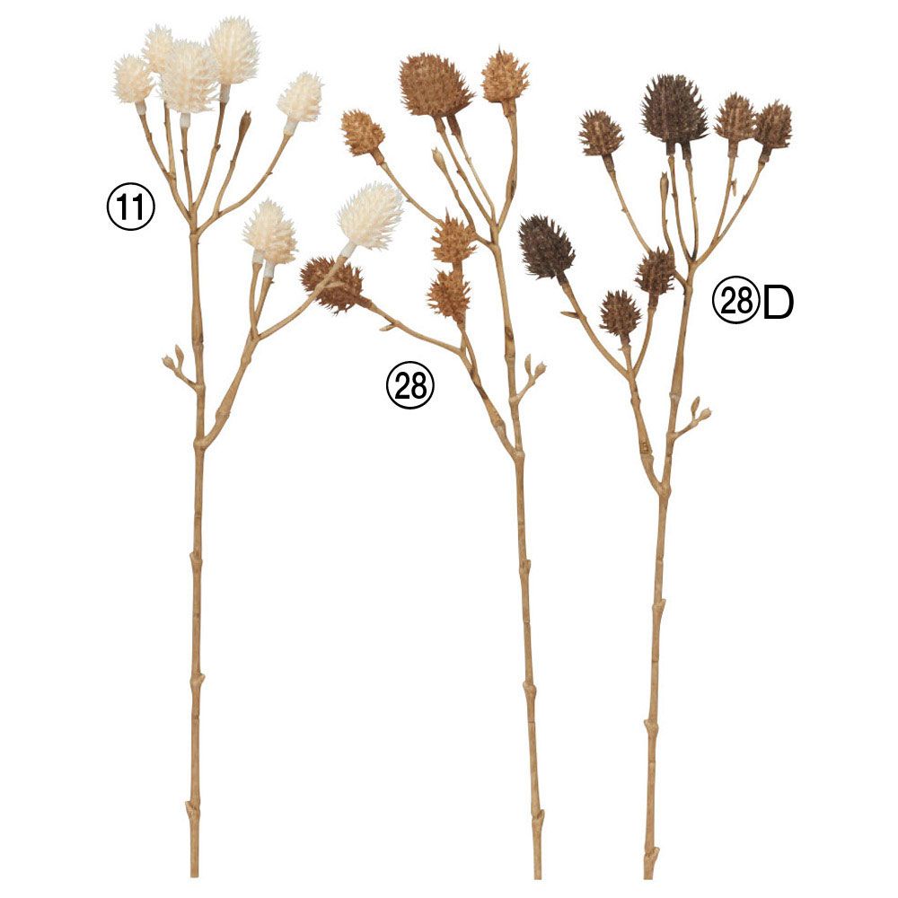 asca エリンジウムピック×8 1本